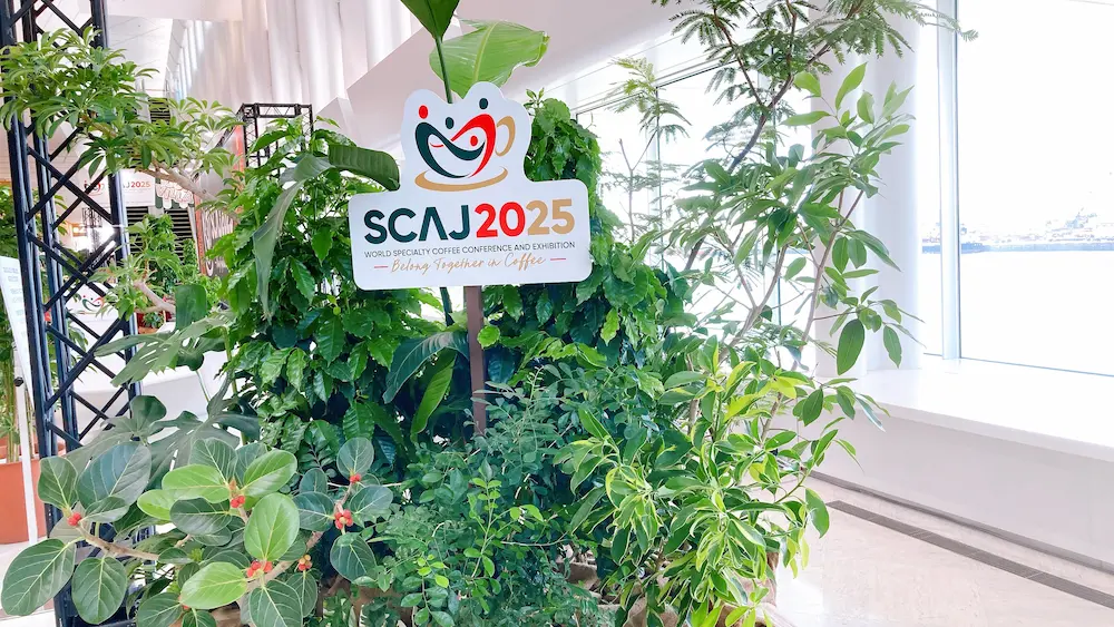 scaj2025のコーヒーの木とカンバン